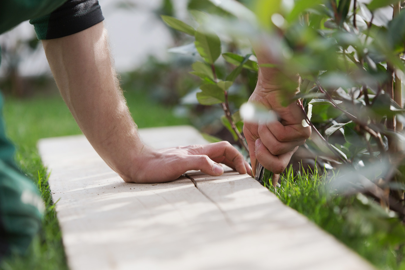 Galerie | Schwegler Gartenbau und Hauswartung